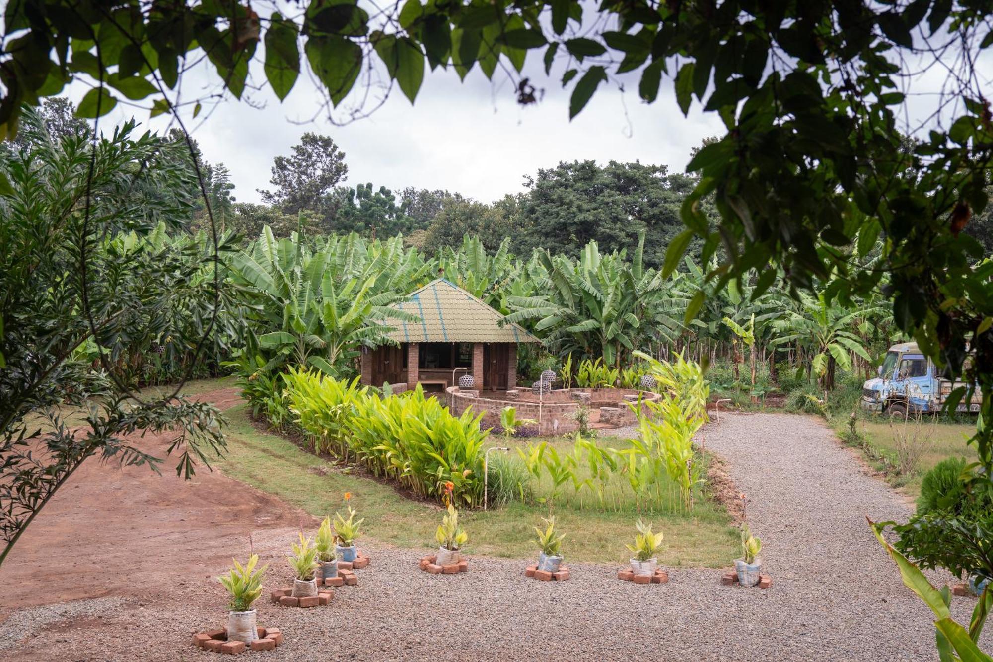 Uru Mount Kilimanjaro 360 View Cottage מראה חיצוני תמונה