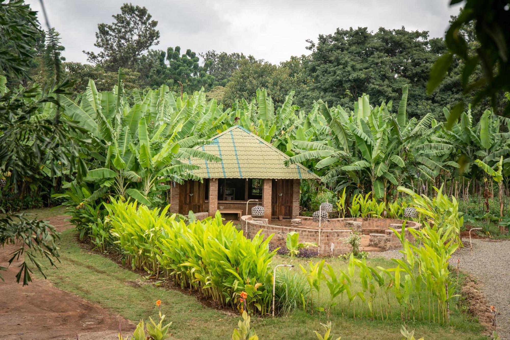 Uru Mount Kilimanjaro 360 View Cottage מראה חיצוני תמונה