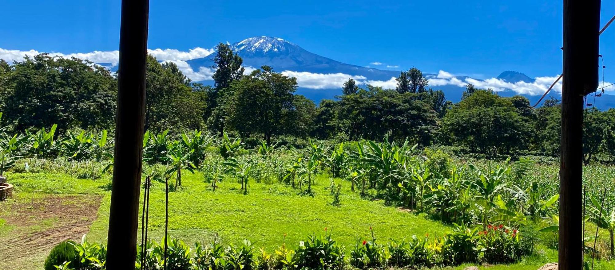Uru Mount Kilimanjaro 360 View Cottage מראה חיצוני תמונה